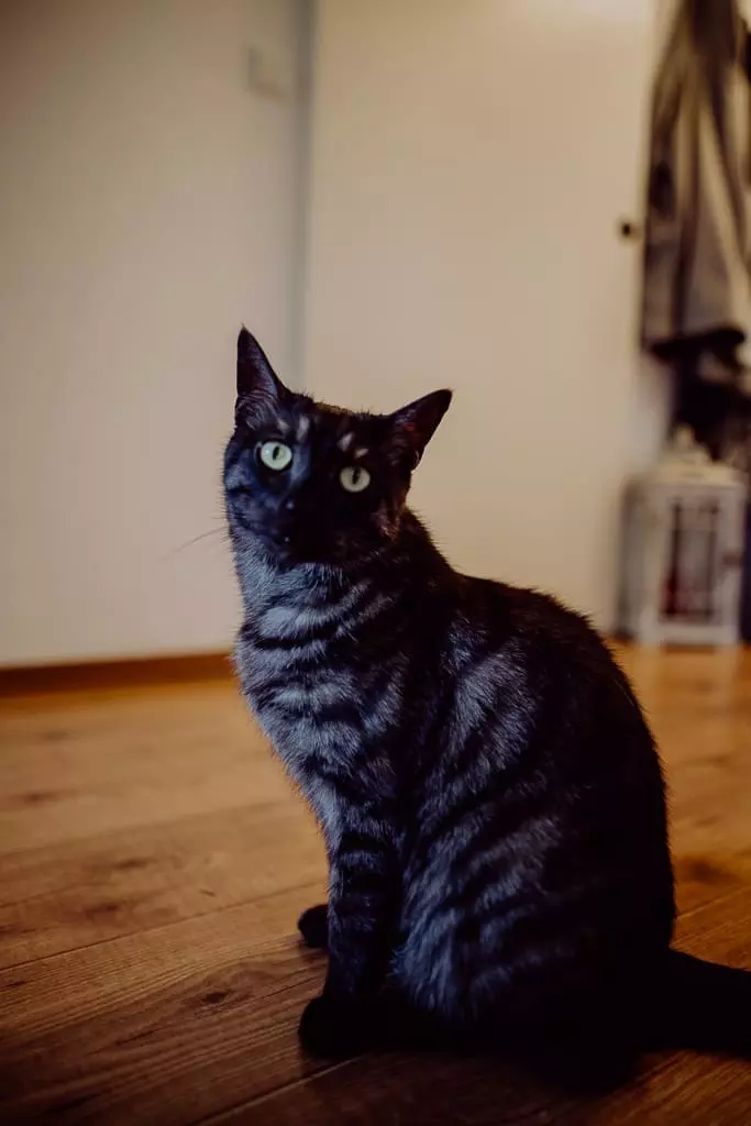 Hochzeitsfotograf Stuttgart Das Roehm Schorndorf Katja Florian 19