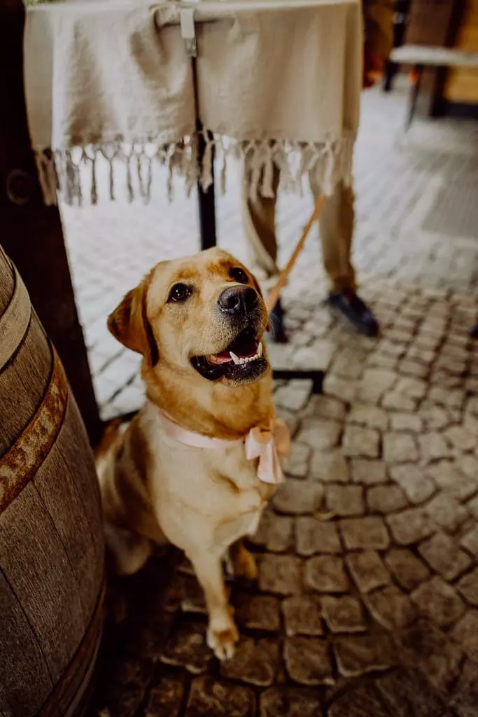 Hochzeitsfotograf Stuttgart Burg Hohenneuffen Annika Yannick 54