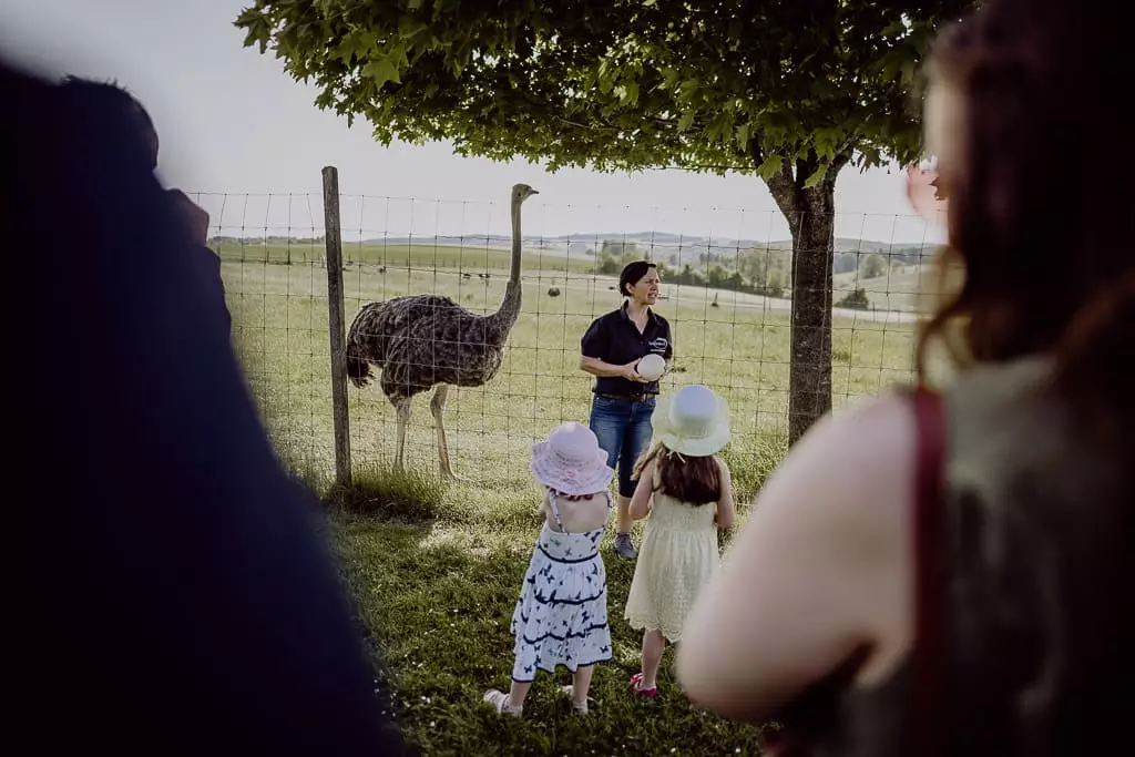 Hochzeitsfotograf Stuttgart Straussenfarm Lindenhof Katrin Jannis 32