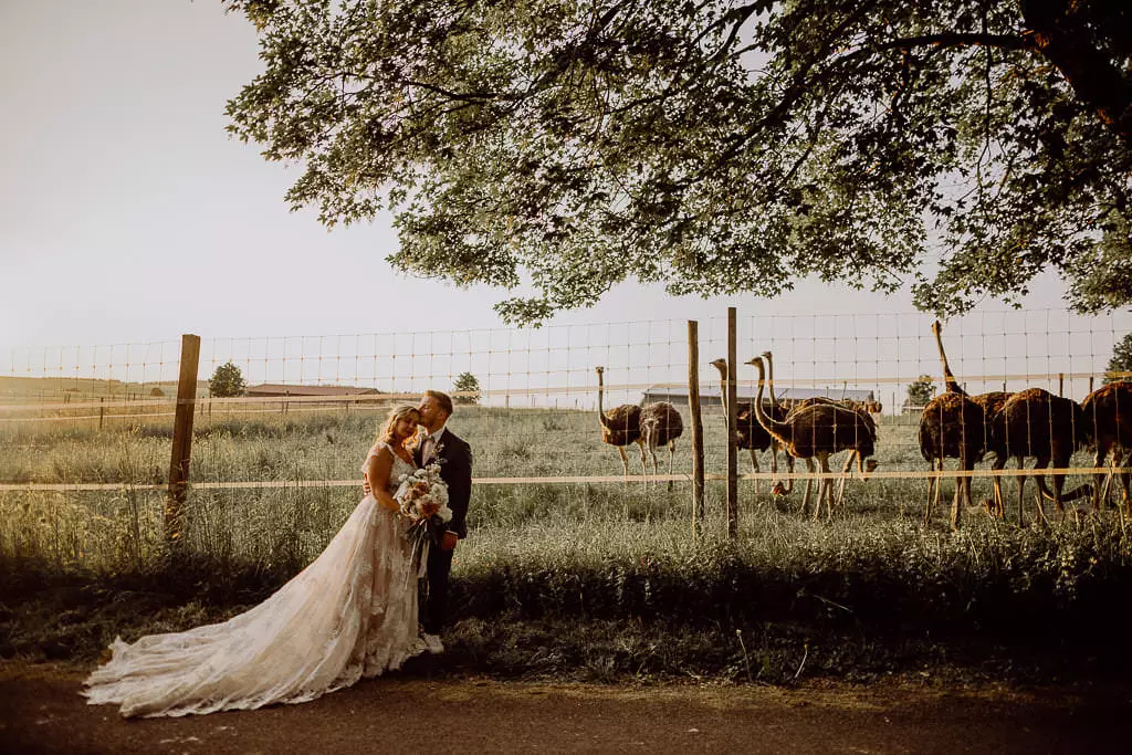 Hochzeitsfotograf Stuttgart Straussenfarm Lindenhof Katrin Jannis 47